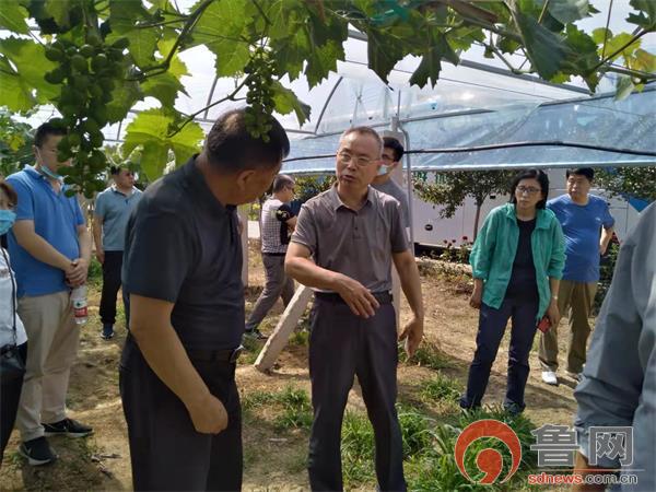 聊城茌平区温陈街道加强农村基层党组织建设工作小队帮扶项目9个